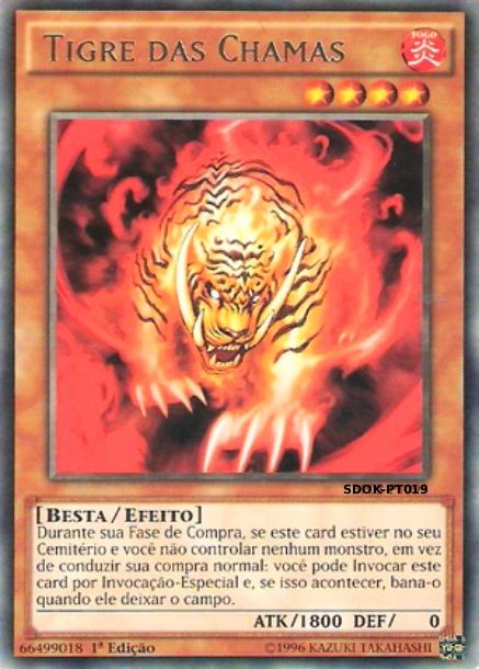 Tigre das Chamas│Flame Tiger